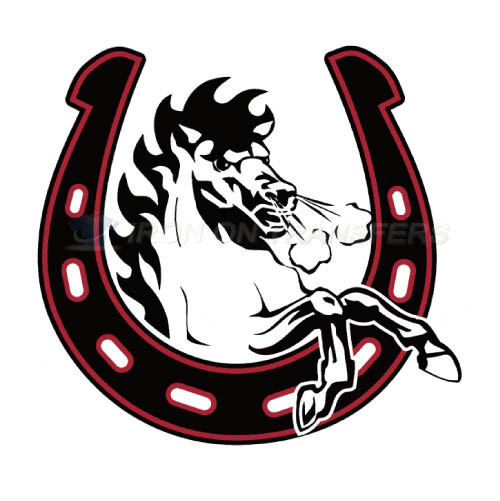 Calgary Stampeders Iron-on Stickers (Heat Transfers)NO.7581